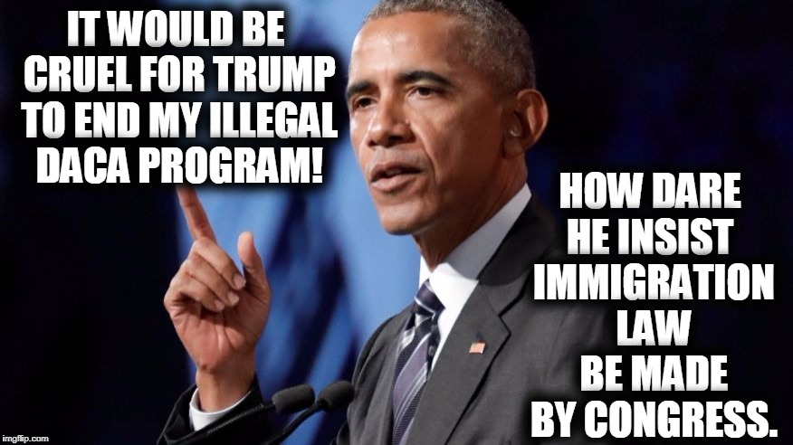 Obama VS The Law | HOW DARE HE INSIST
 IMMIGRATION LAW BE MADE BY CONGRESS. IT WOULD BE CRUEL FOR TRUMP TO END MY ILLEGAL DACA PROGRAM! | image tagged in no obama,no,nobama,memes,funny,mxm | made w/ Imgflip meme maker