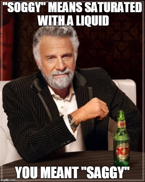 The Most Interesting Man In The World Meme | "SOGGY" MEANS SATURATED WITH A LIQUID YOU MEANT "SAGGY" | image tagged in memes,the most interesting man in the world | made w/ Imgflip meme maker