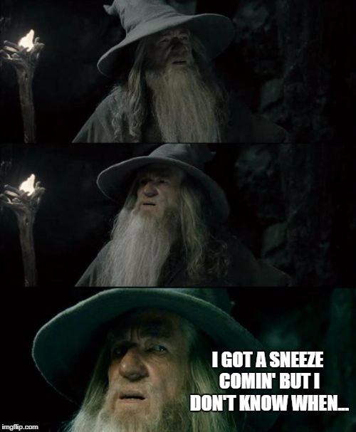 Confused Gandalf Meme | I GOT A SNEEZE COMIN' BUT I DON'T KNOW WHEN... | image tagged in memes,confused gandalf | made w/ Imgflip meme maker