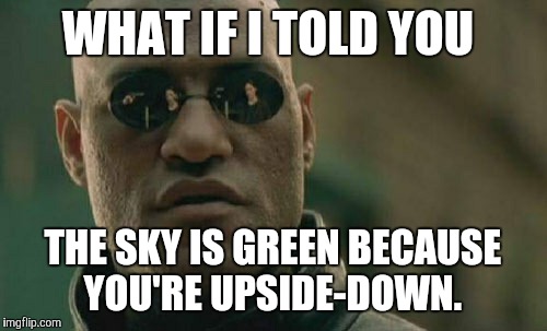 I don't know where I'm going with this. I was just bored. | WHAT IF I TOLD YOU; THE SKY IS GREEN BECAUSE YOU'RE UPSIDE-DOWN. | image tagged in memes,matrix morpheus,the more you know,lol,fact,random | made w/ Imgflip meme maker
