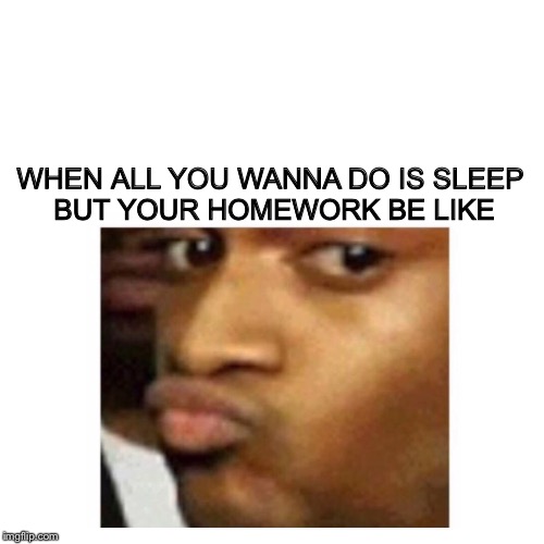 Birthday conceited  | WHEN ALL YOU WANNA DO IS SLEEP BUT YOUR HOMEWORK BE LIKE | image tagged in birthday conceited | made w/ Imgflip meme maker