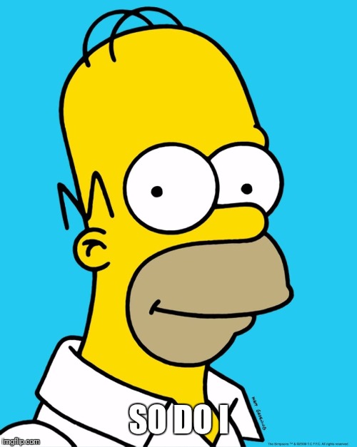 Homer Approval  | SO DO I | image tagged in homer approval | made w/ Imgflip meme maker