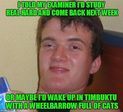 10 Guy Meme | I TOLD MY EXAMINER I'D STUDY REAL HARD AND COME BACK NEXT WEEK OR MAYBE I'D WAKE UP IN TIMBUKTU WITH A WHEELBARROW FULL OF CATS | image tagged in memes,10 guy | made w/ Imgflip meme maker