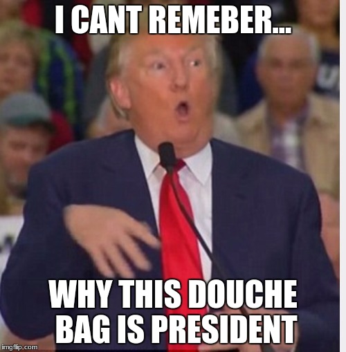 Donald Trump tho | I CANT REMEBER... WHY THIS DOUCHE BAG IS PRESIDENT | image tagged in donald trump tho | made w/ Imgflip meme maker