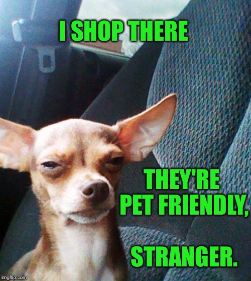 Stoner dog | I SHOP THERE THEY'RE PET FRIENDLY, STRANGER. | image tagged in stoner dog | made w/ Imgflip meme maker