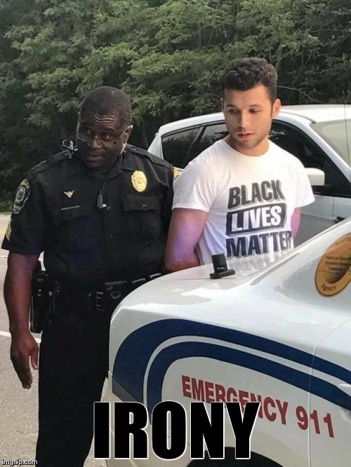 Both are probably saying "I can't believe this" | IRONY | image tagged in memes,black lives matter,police,police lives matter,irony | made w/ Imgflip meme maker