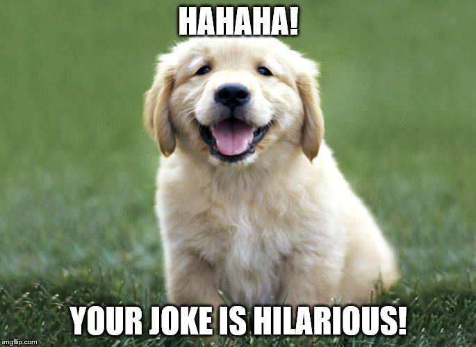 Doggie is saying your joke is hilarious meme | HAHAHA! YOUR JOKE IS HILARIOUS! | image tagged in dog | made w/ Imgflip meme maker