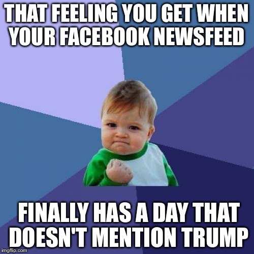 Success Kid Meme | THAT FEELING YOU GET WHEN YOUR FACEBOOK NEWSFEED; FINALLY HAS A DAY THAT DOESN'T MENTION TRUMP | image tagged in memes,success kid | made w/ Imgflip meme maker