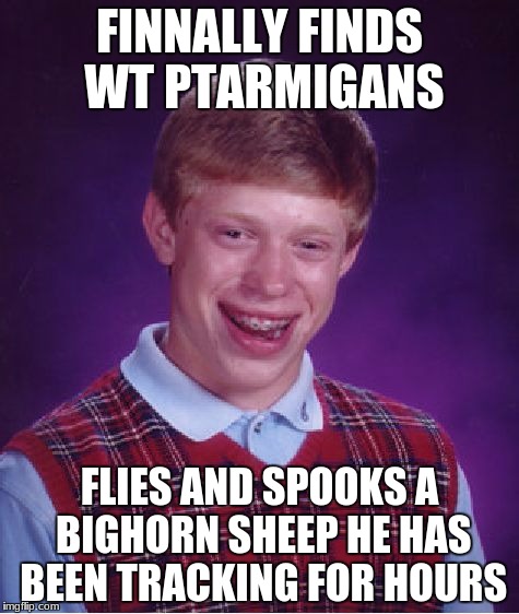 Bad Luck Brian Meme | FINNALLY FINDS WT PTARMIGANS; FLIES AND SPOOKS A BIGHORN SHEEP HE HAS BEEN TRACKING FOR HOURS | image tagged in memes,bad luck brian | made w/ Imgflip meme maker