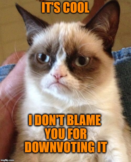 Grumpy Cat Meme | IT'S COOL I DON'T BLAME YOU FOR DOWNVOTING IT | image tagged in memes,grumpy cat | made w/ Imgflip meme maker