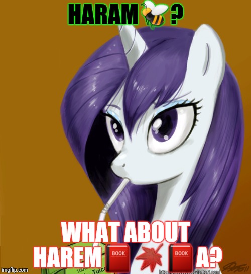 HARAM | made w/ Imgflip meme maker