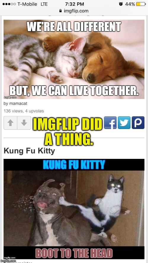 ¯_(ツ)_/¯ | IMGFLIP DID A THING. | image tagged in cats,dogs,cats and dogs,screenshot,idk | made w/ Imgflip meme maker