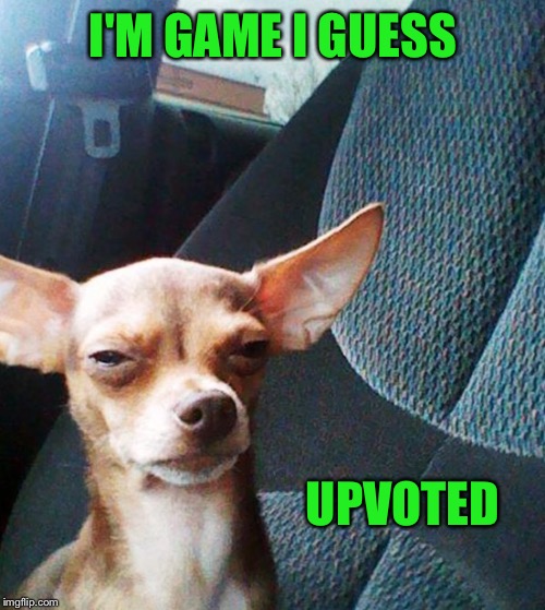 Stoner dog | I'M GAME I GUESS UPVOTED | image tagged in stoner dog | made w/ Imgflip meme maker