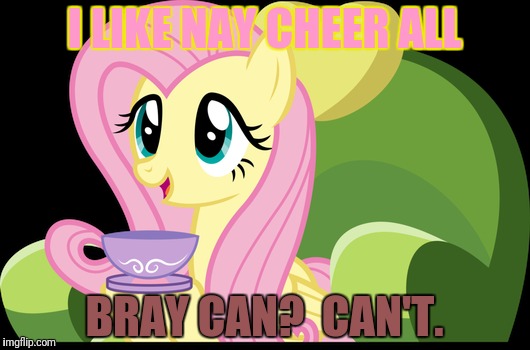 I LIKE NAY CHEER ALL BRAY CAN?  CAN'T. | made w/ Imgflip meme maker