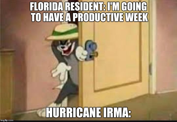i pray for everybody that this storm does minimum damage | FLORIDA RESIDENT: I'M GOING TO HAVE A PRODUCTIVE WEEK; HURRICANE IRMA: | image tagged in tom the cat schmeing | made w/ Imgflip meme maker