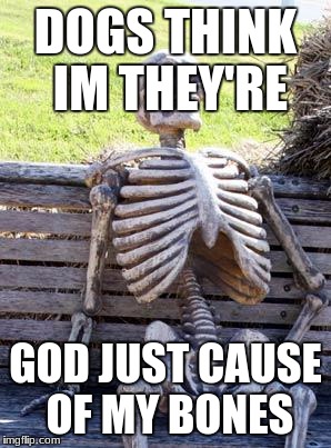 Waiting Skeleton Meme | DOGS THINK IM THEY'RE; GOD JUST CAUSE OF MY BONES | image tagged in memes,waiting skeleton | made w/ Imgflip meme maker
