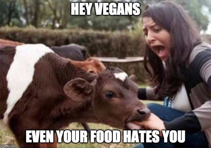 true story | HEY VEGANS; EVEN YOUR FOOD HATES YOU | image tagged in vegan,iwanttobebacon,iwanttobebaconcom,bacon,hamburger | made w/ Imgflip meme maker