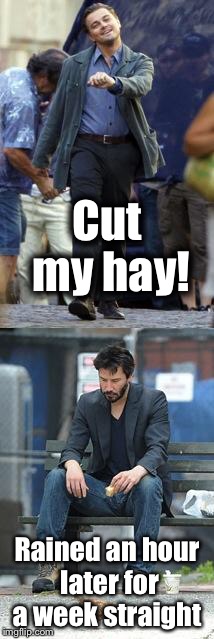 Happy and Sad | Cut my hay! Rained an hour later for a week straight | image tagged in happy and sad | made w/ Imgflip meme maker