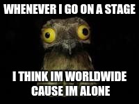 WHENEVER I GO ON A STAGE; I THINK IM WORLDWIDE CAUSE IM ALONE | image tagged in potoo | made w/ Imgflip meme maker