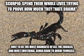 Scorpions | SCORPIO: SPEND THEIR WHOLE LIVES TRYING TO PROVE HOW MUCH THEY "HATE DRAMA"; ONLY TO BE THE MOST DRAMATIC OF ALL THE ZODIACS AND MOST EMOTIONAL. KINDA HARD TO AVOID YOURSELF... | image tagged in scorpions | made w/ Imgflip meme maker