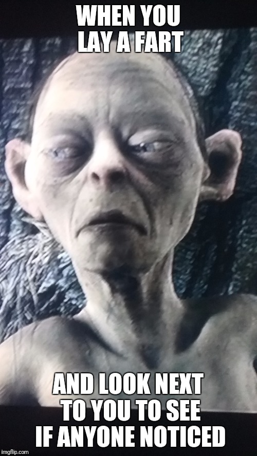Smeagol | WHEN YOU LAY A FART; AND LOOK NEXT TO YOU TO SEE IF ANYONE NOTICED | image tagged in funny | made w/ Imgflip meme maker