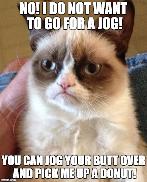 Grumpy Cat Meme | NO! I DO NOT WANT TO GO FOR A JOG! YOU CAN JOG YOUR BUTT OVER AND PICK ME UP A DONUT! | image tagged in memes,grumpy cat | made w/ Imgflip meme maker