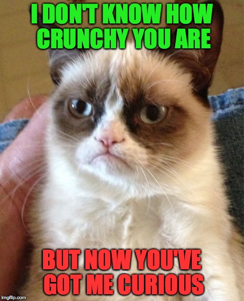 Grumpy Cat Meme | I DON'T KNOW HOW CRUNCHY YOU ARE BUT NOW YOU'VE GOT ME CURIOUS | image tagged in memes,grumpy cat | made w/ Imgflip meme maker