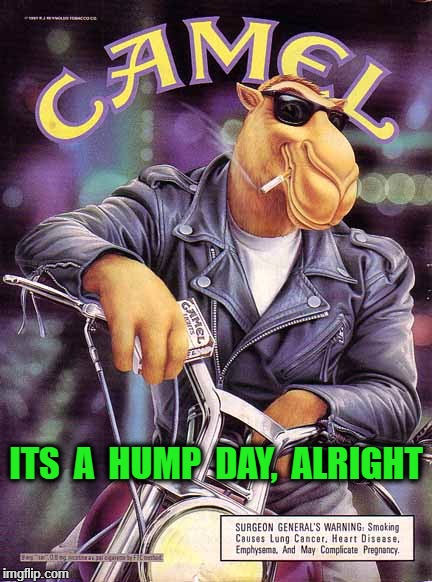 ITS  A  HUMP  DAY,  ALRIGHT | image tagged in joecamel | made w/ Imgflip meme maker