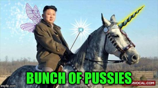 BUNCH OF PUSSIES | made w/ Imgflip meme maker