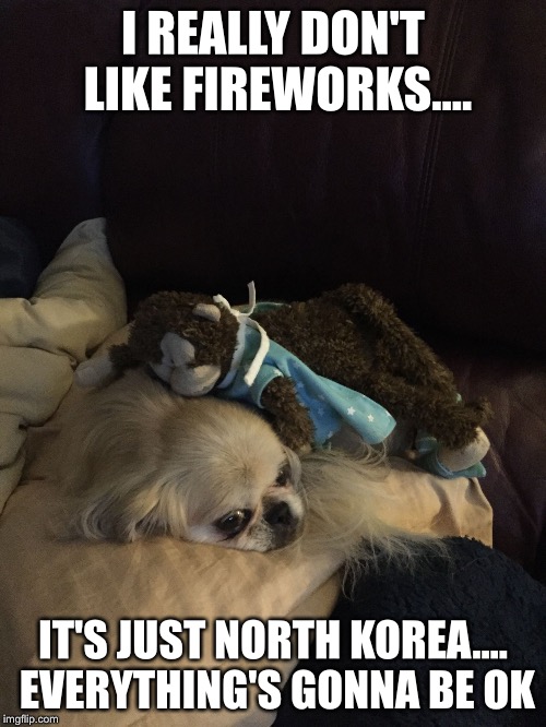 Can't we all just get along  | I REALLY DON'T LIKE FIREWORKS.... IT'S JUST NORTH KOREA.... EVERYTHING'S GONNA BE OK | image tagged in can't we all just get along | made w/ Imgflip meme maker