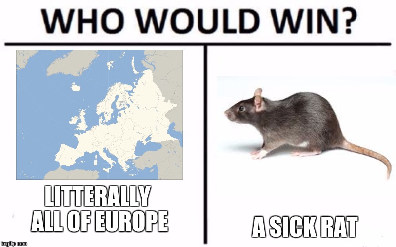Who Would Win? Meme | A SICK RAT; LITTERALLY ALL OF EUROPE | image tagged in who would win | made w/ Imgflip meme maker