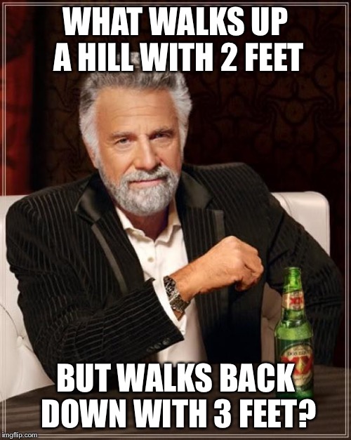 The Most Interesting Man In The World | WHAT WALKS UP A HILL WITH 2 FEET; BUT WALKS BACK DOWN WITH 3 FEET? | image tagged in memes,the most interesting man in the world | made w/ Imgflip meme maker