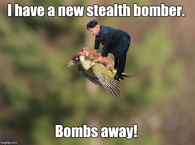 I have a new stealth bomber. Bombs away! | made w/ Imgflip meme maker
