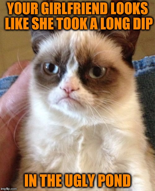 Grumpy Cat Meme | YOUR GIRLFRIEND LOOKS LIKE SHE TOOK A LONG DIP; IN THE UGLY POND | image tagged in memes,grumpy cat | made w/ Imgflip meme maker