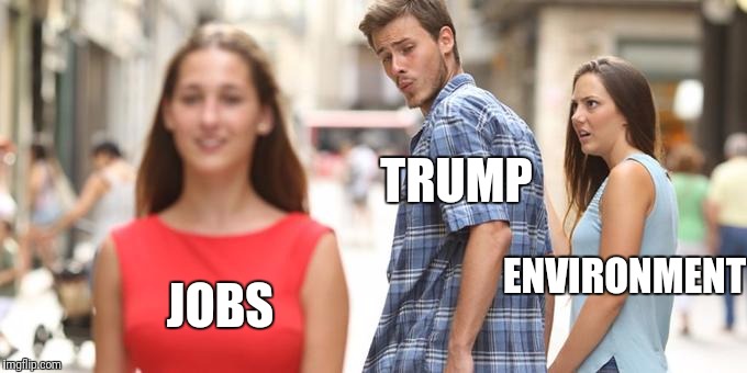 Trump's wandering eye | TRUMP; ENVIRONMENT; JOBS | image tagged in trump,environment,jobs,maga | made w/ Imgflip meme maker
