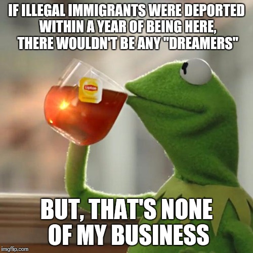 But That's None Of My Business Meme | IF ILLEGAL IMMIGRANTS WERE DEPORTED WITHIN A YEAR OF BEING HERE, THERE WOULDN'T BE ANY "DREAMERS"; BUT, THAT'S NONE OF MY BUSINESS | image tagged in memes,but thats none of my business,kermit the frog | made w/ Imgflip meme maker