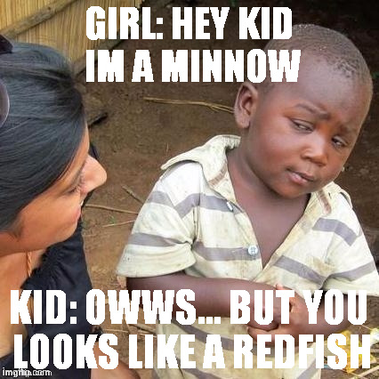 GIRL:
HEY KID IM A MINNOW; KID: OWWS... BUT YOU LOOKS LIKE A REDFISH | made w/ Imgflip meme maker