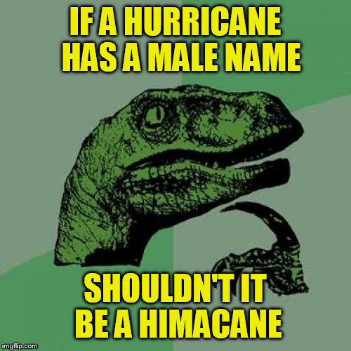 Philosoraptor Meme | IF A HURRICANE  HAS A MALE NAME; SHOULDN'T IT BE A HIMACANE | image tagged in memes,philosoraptor | made w/ Imgflip meme maker