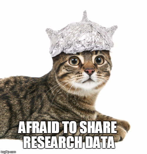 stolen ideas | AFRAID TO SHARE RESEARCH DATA | image tagged in research data,research data management,sharing research data,sharing is caring,research,share research data | made w/ Imgflip meme maker