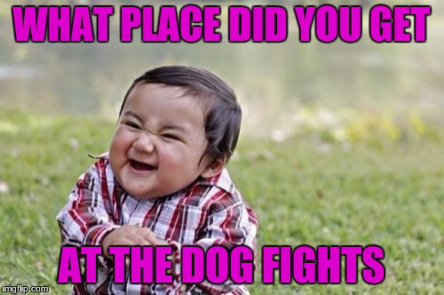 Evil Toddler Meme | WHAT PLACE DID YOU GET AT THE DOG FIGHTS | image tagged in memes,evil toddler | made w/ Imgflip meme maker