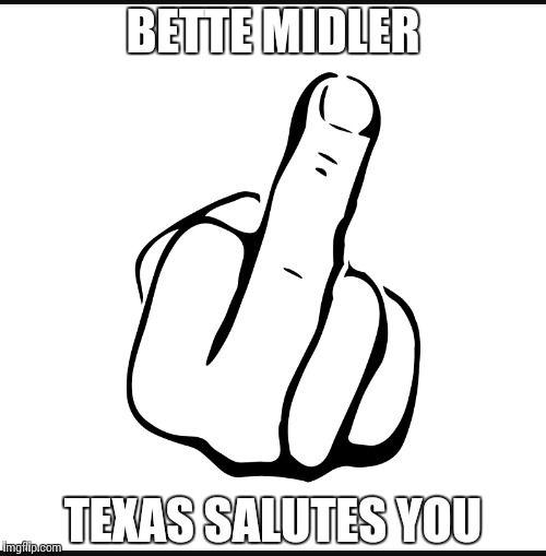 idiots |  BETTE MIDLER; TEXAS SALUTES YOU | image tagged in texas,crying liberals,words that offend liberals,stupid liberals | made w/ Imgflip meme maker