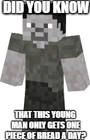 Sad Steve | DID YOU KNOW; THAT THIS YOUNG MAN ONLY
GETS ONE PIECE OF BREAD A DAY? | image tagged in sad,the more you know,did you know,minecraft,gaming | made w/ Imgflip meme maker