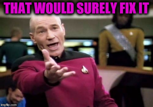 Picard Wtf Meme | THAT WOULD SURELY FIX IT | image tagged in memes,picard wtf | made w/ Imgflip meme maker