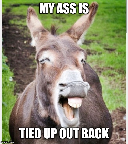 Laughing ass | MY ASS IS TIED UP OUT BACK | image tagged in laughing ass | made w/ Imgflip meme maker