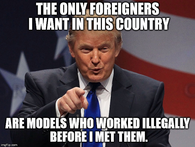 Donald Trump  | THE ONLY FOREIGNERS I WANT IN THIS COUNTRY; ARE MODELS WHO WORKED ILLEGALLY BEFORE I MET THEM. | image tagged in donald trump | made w/ Imgflip meme maker