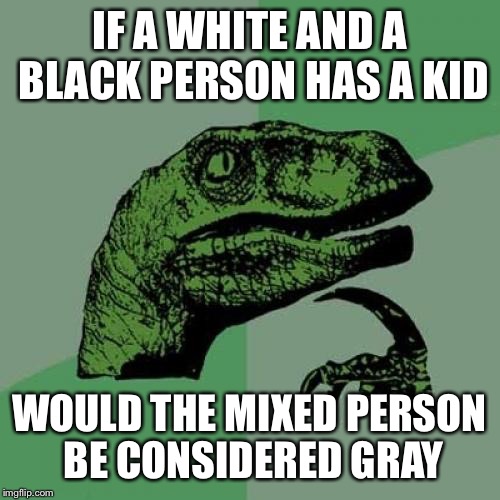 Philosoraptor Meme | IF A WHITE AND A BLACK PERSON HAS A KID; WOULD THE MIXED PERSON BE CONSIDERED GRAY | image tagged in memes,philosoraptor | made w/ Imgflip meme maker