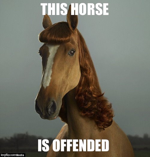 THIS HORSE IS OFFENDED | made w/ Imgflip meme maker