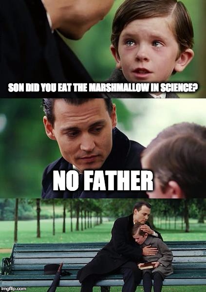 Finding Neverland | SON DID YOU EAT THE MARSHMALLOW IN SCIENCE? NO FATHER | image tagged in memes,finding neverland | made w/ Imgflip meme maker
