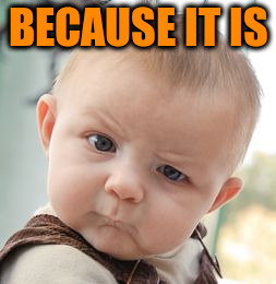 Skeptical Baby Meme | BECAUSE IT IS | image tagged in memes,skeptical baby | made w/ Imgflip meme maker