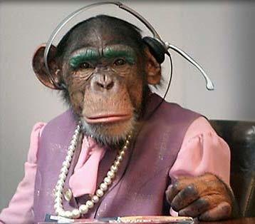 monkey with headset Blank Meme Template